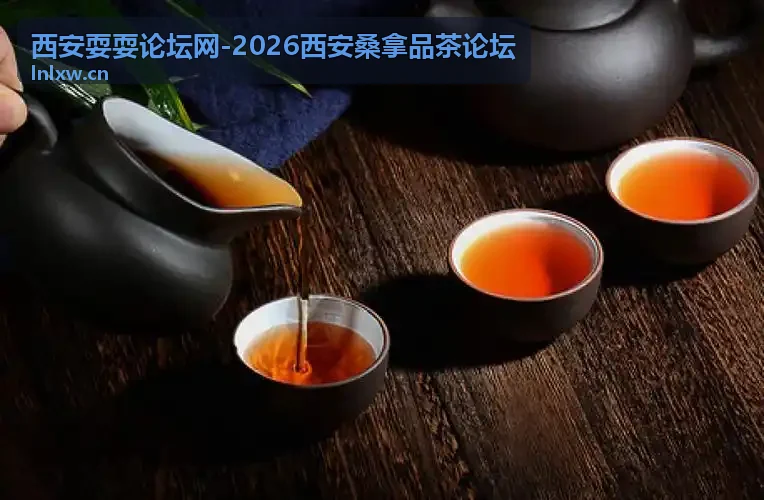 西安品茶工作室未央区实拍